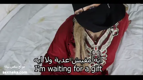 سكس عربي مصري سوداني – نيك كس اللبوة مقابل الفلوس